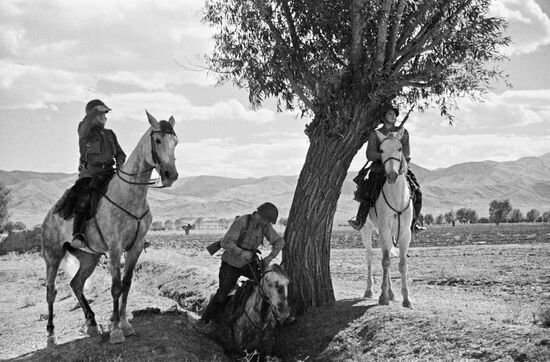 TREE HORSES SOLDIERS