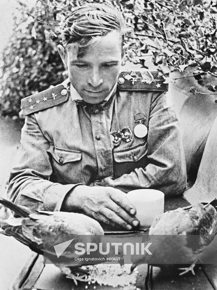 PILOT POPOV DOVES WWII