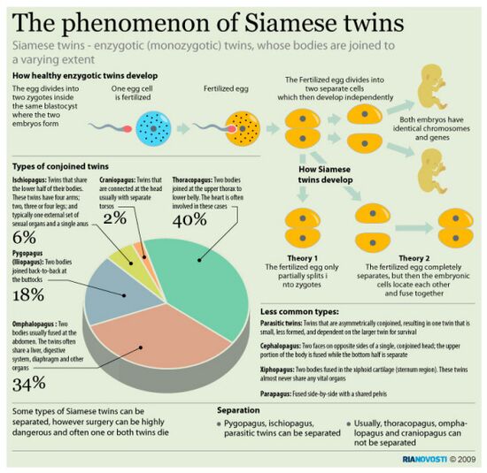 The phenomenon of Siamese twins