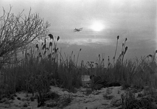 The Great Patriotic War of 1941-1945