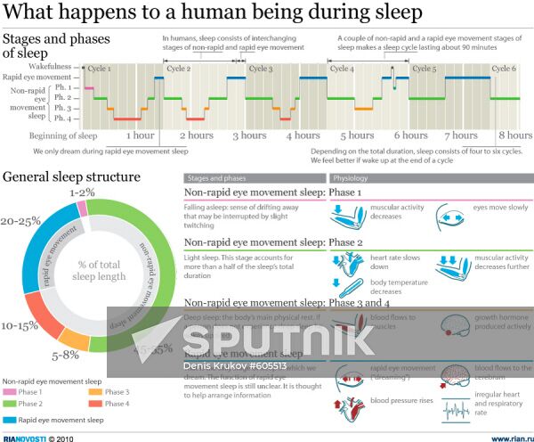 What happens to human being during sleep