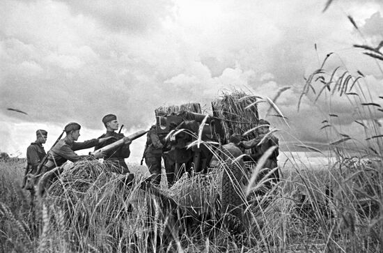 Crew of an antiaircraft gun of D.Vyatkin battery
