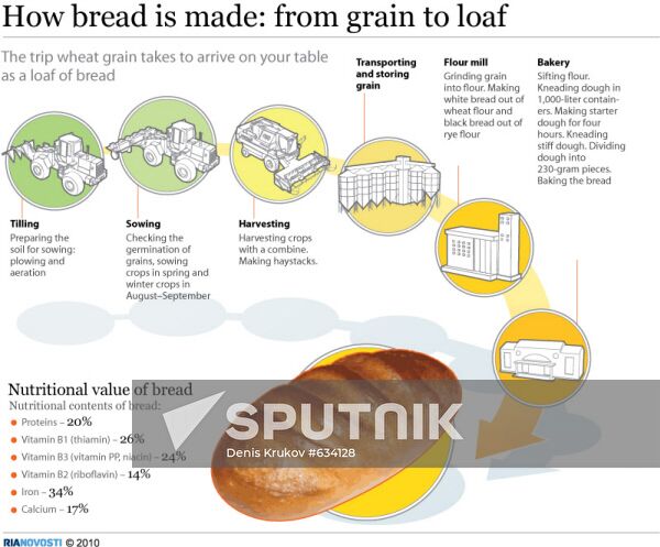 How bread is made: from grain to loaf