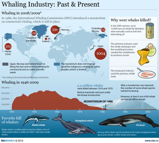 Whaling industry: past and present