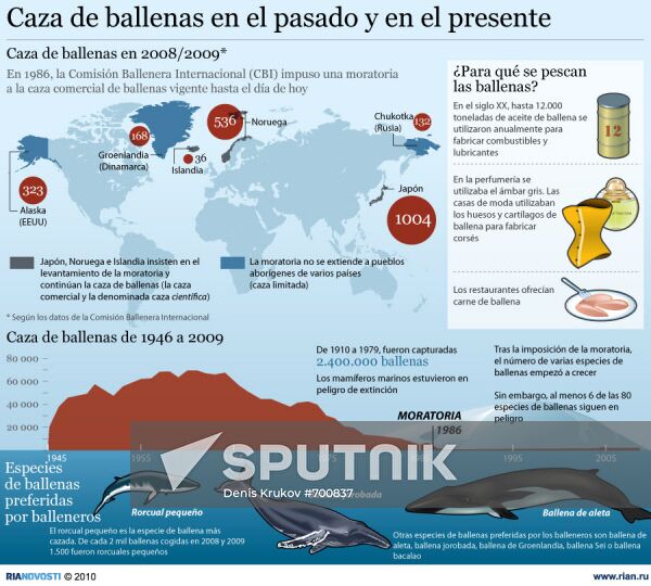 Caza de ballenas en el pasado y en el presente