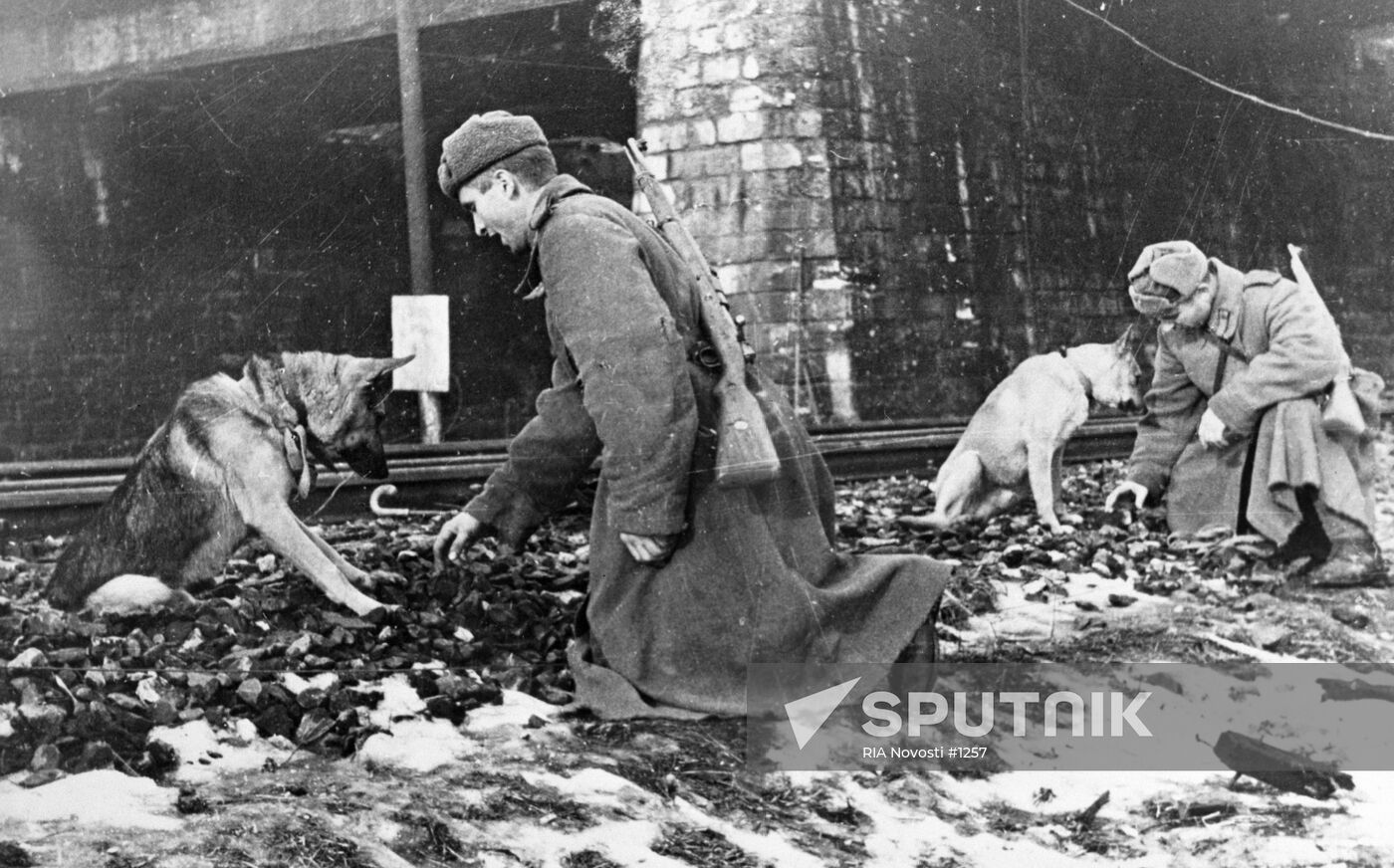 WWII MINES COMBAT ENGINEERS DOGS