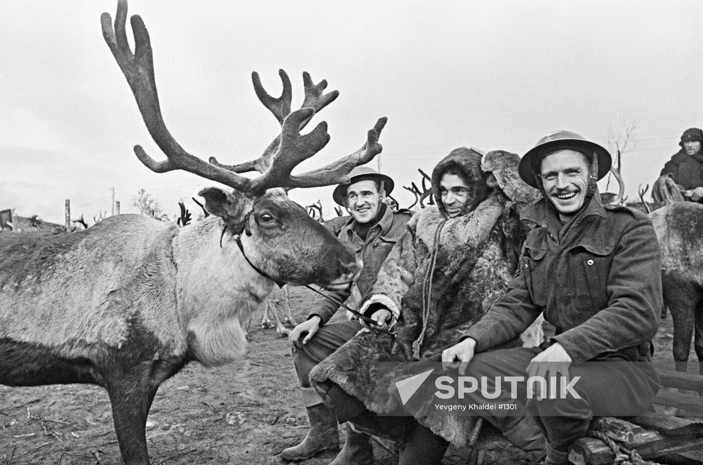 WWII POLAR REGIONS DEER RAISER BRITISH