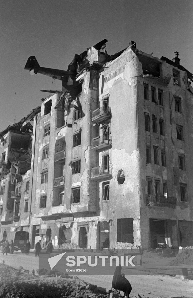 WWII PLANE RUINS
