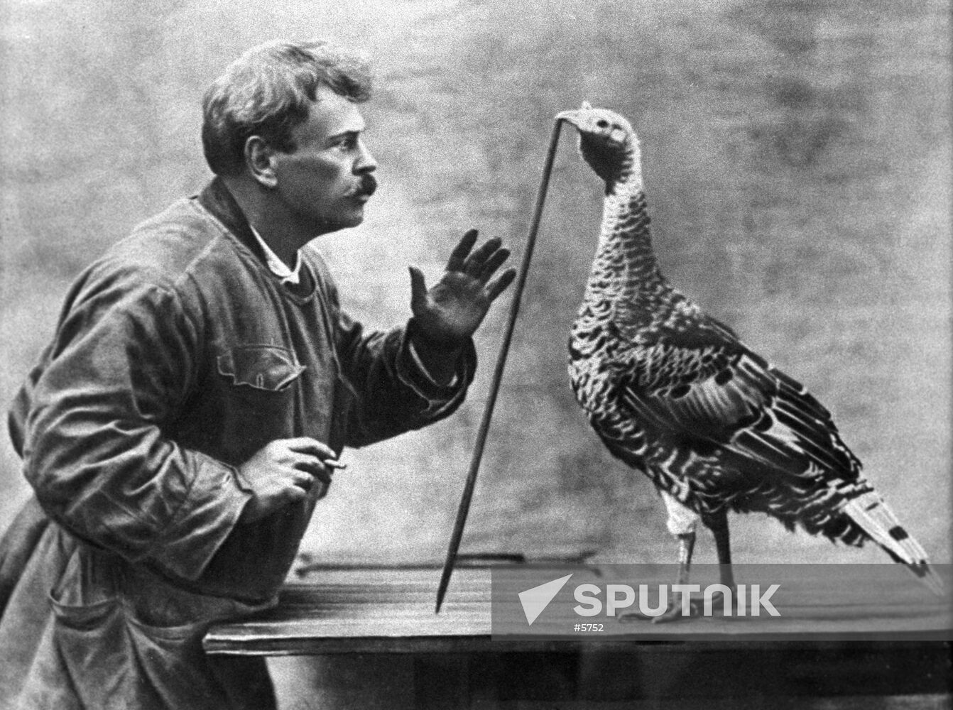 DUROV EXPERIMENT TURKEY WATCH