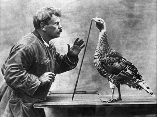 DUROV EXPERIMENT TURKEY WATCH