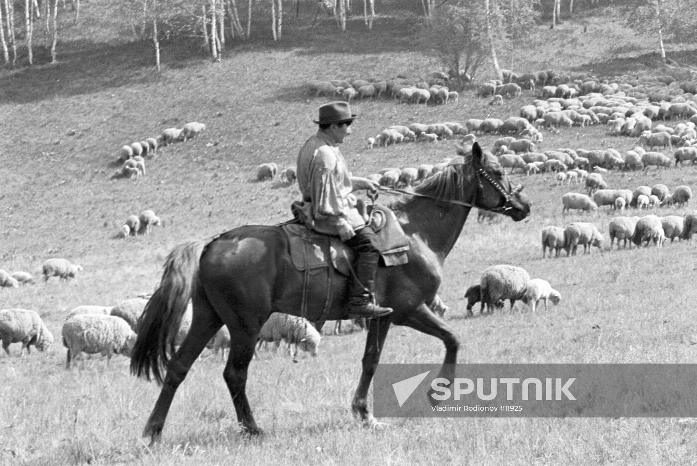 SHEPHERD MAMYSHEV KHAKASSIA