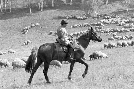 SHEPHERD MAMYSHEV KHAKASSIA