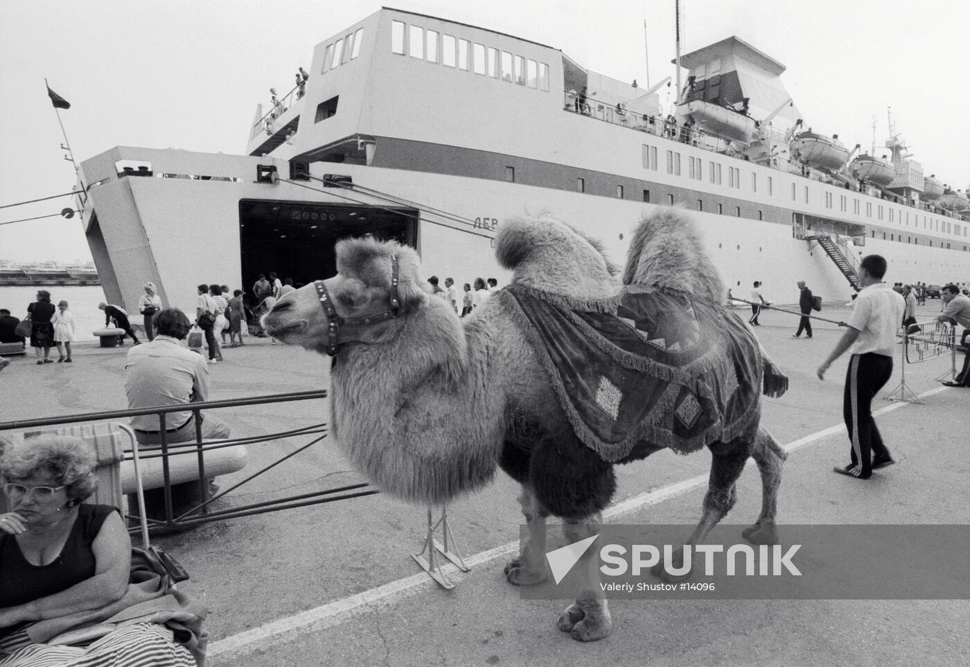 CAMEL STEAMSHIP YALTA