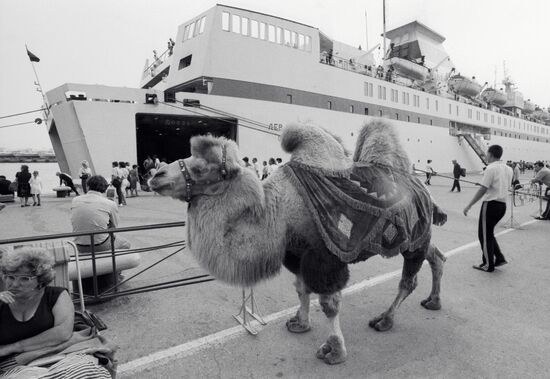 CAMEL STEAMSHIP YALTA