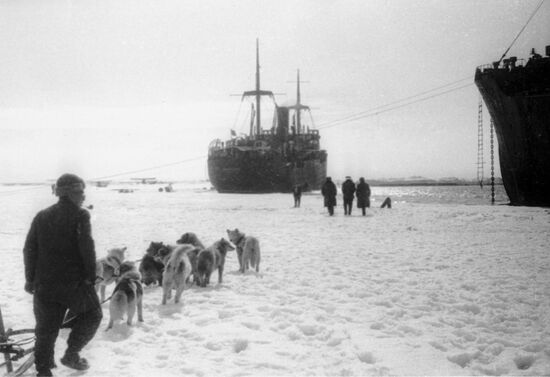 Expedition to rescue crew of motor ship Chelyuskin 