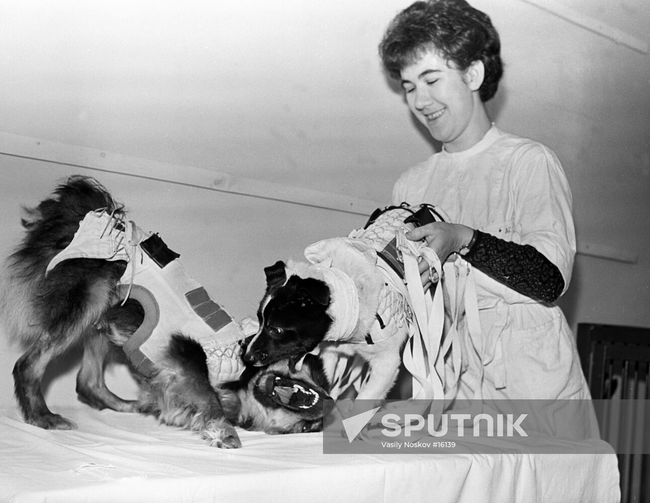 UGOLYOK VETEROK DOGS SPACE FLIGHT SUITS