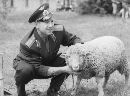 Cosmonaut Leonov sizing up a sheep given as a present