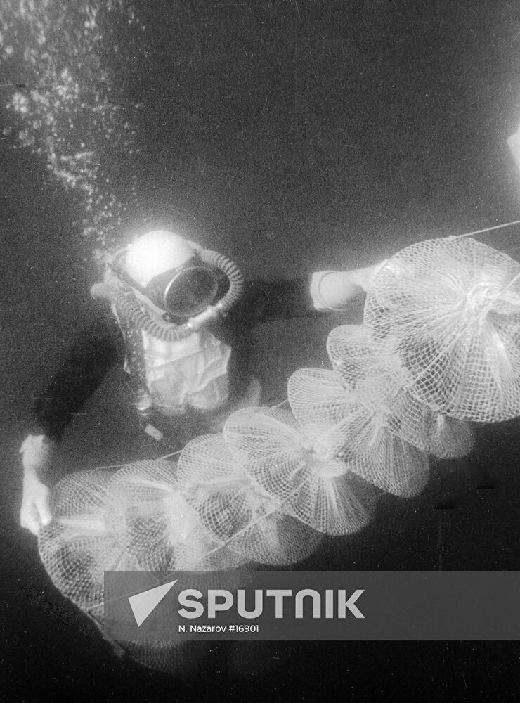 BIOLOGIST CAGES PARK