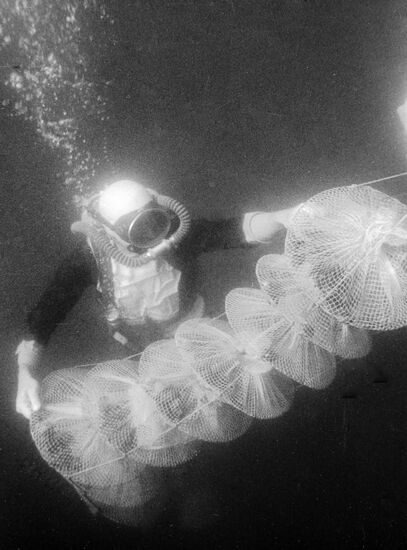 BIOLOGIST CAGES PARK