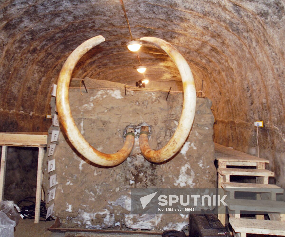 TUSKS MUSEUM
