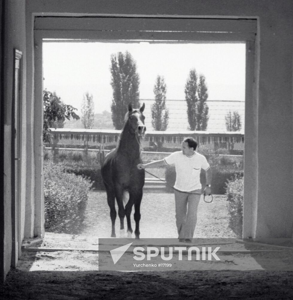 STUD FARM STABLE HORSE