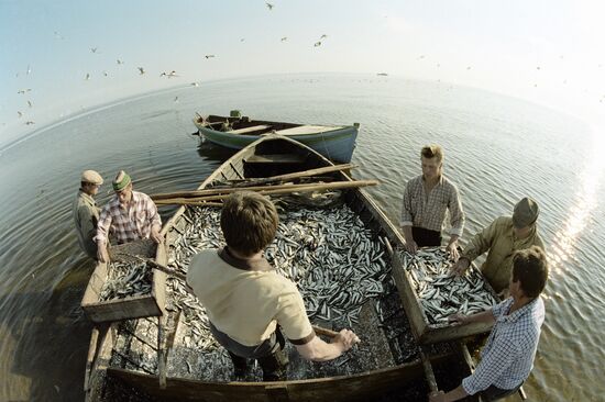 WHITE SEA FISHERMEN ECOLOGY 