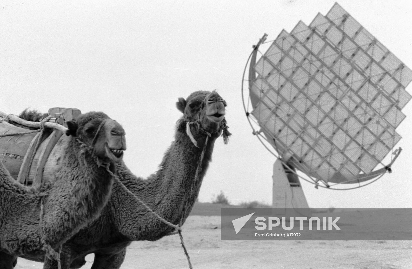 KARAKUM DESERT CAMELS SOLAR BATTERY