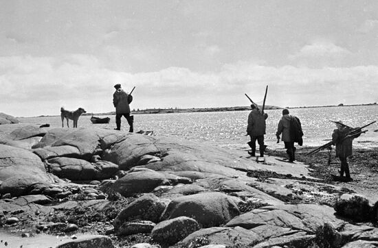 SEAWEED HARVESTING
