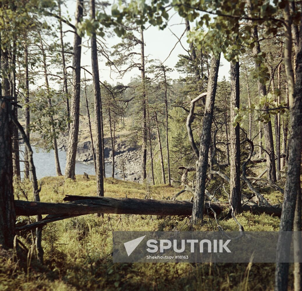 VALAAM