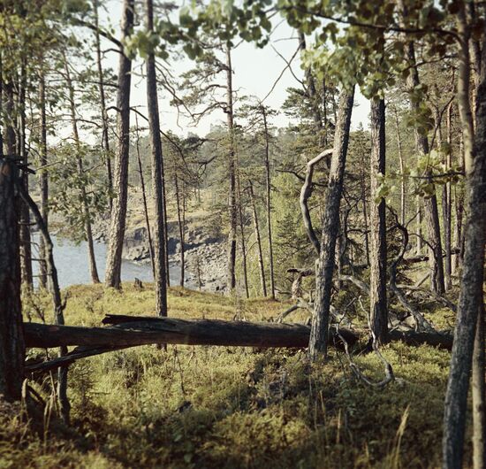 VALAAM