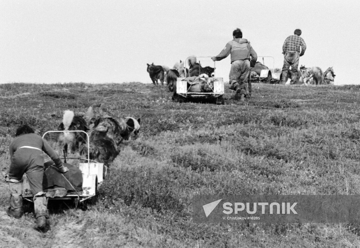 PARTICIPANTS TRANSCONTINENTAL CRUSADE DOGS' TEAMS ASCENT HILL