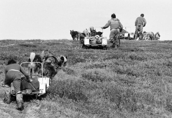 PARTICIPANTS TRANSCONTINENTAL CRUSADE DOGS' TEAMS ASCENT HILL