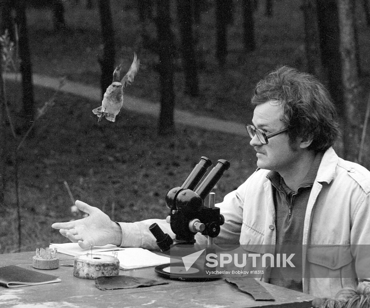 POST-GRADUATE RESEARCH BIRD MICROSCOPE