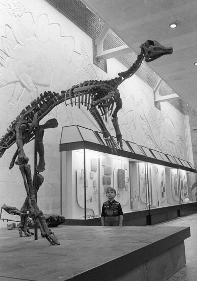 SKELETON PALEONTOLOGY MUSEUM