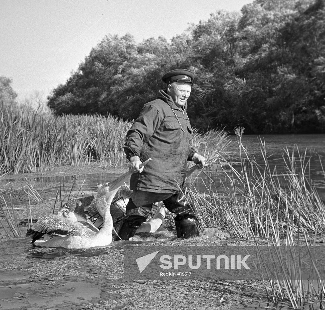 GAME WARDEN PELICAN ASTRAKHANSKY NATURE PRESERVE