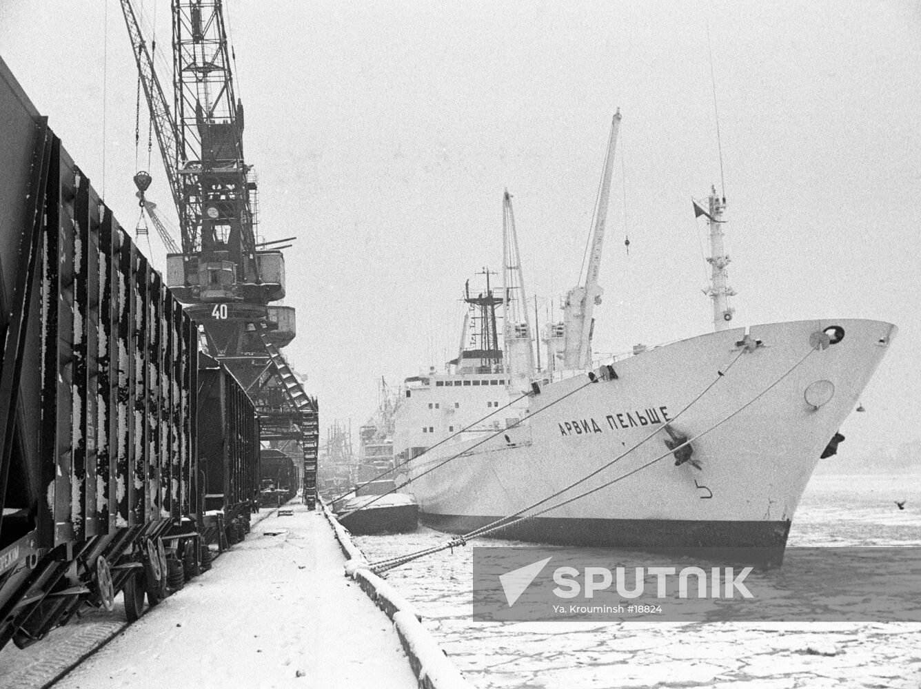 ARVID PELSE PORT