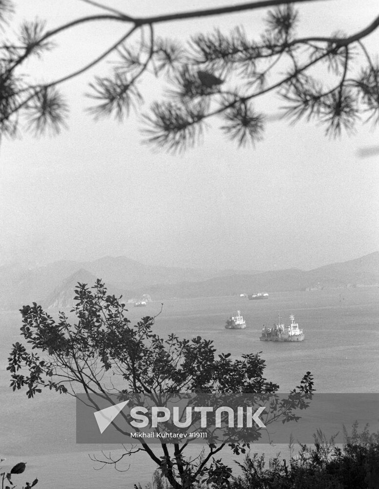 BAY LANDSCAPE