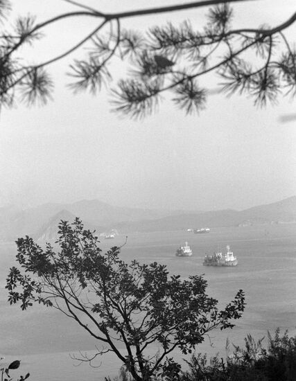 BAY LANDSCAPE