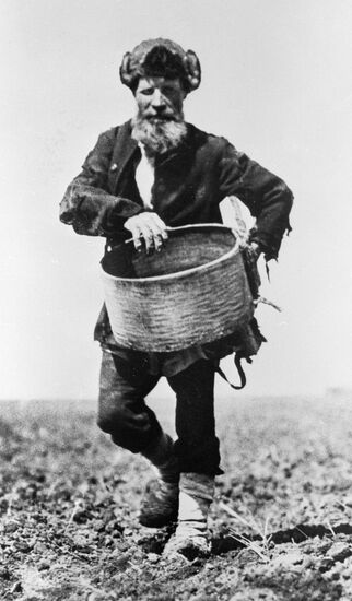 SOWER