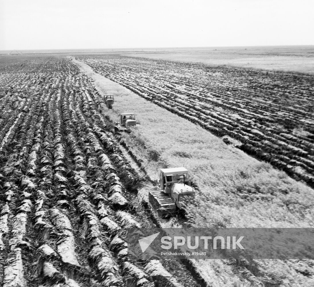 VIRGIN LANDS REED MARSHES TRACTORS PLOUGHING