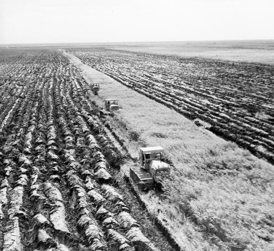 VIRGIN LANDS REED MARSHES TRACTORS PLOUGHING