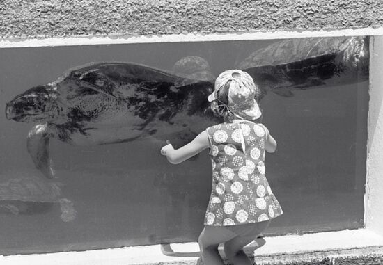 BATUMI AQUARIUM TURTOISE