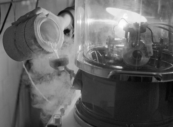NITROGEN CELL BIOLOGICAL PHYSICS INSTITUTE