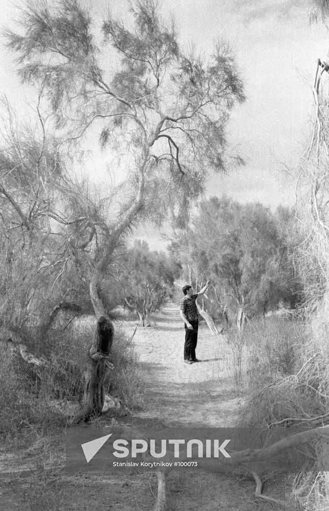 SAXAULS REPETEK RESERVE 