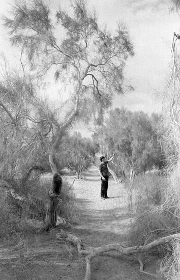 SAXAULS REPETEK RESERVE 