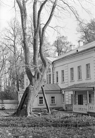Tolstoi Mansion Museum Paupers Tree 