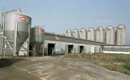DAIRY FARM SHCHAPOVO