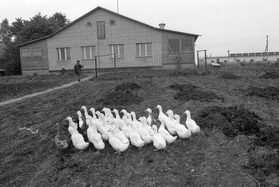 FARMHOUSE PRIVATE FARM