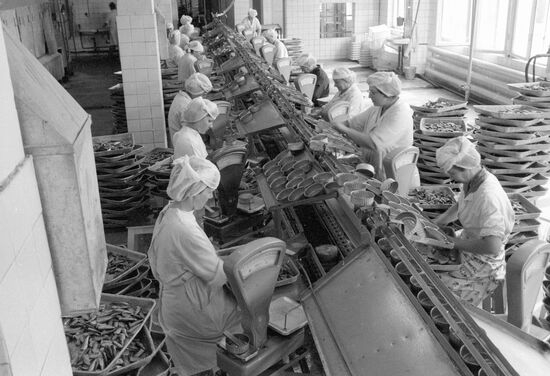 Workshop fish processing company