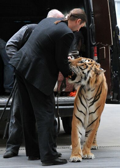 Conference on joint project of Zapashny and Safronovs' brothers